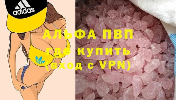 кокс Корсаков
