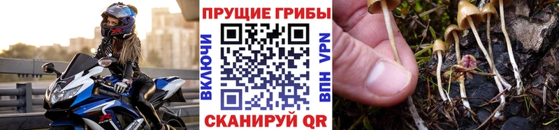 Псилоцибиновые грибы ЛСД  Калач 